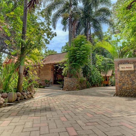 Bata Merah Homestay Banyuwangi  Kültér fotó