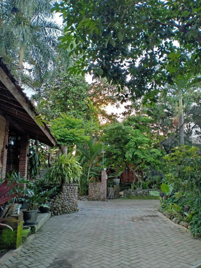 Bata Merah Homestay Banyuwangi  Kültér fotó