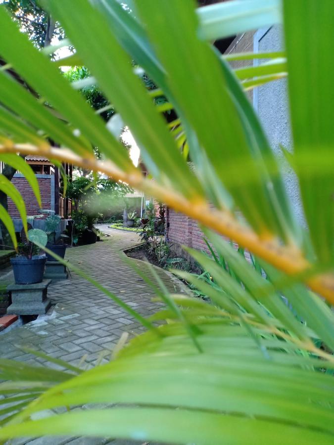Bata Merah Homestay Banyuwangi  Kültér fotó