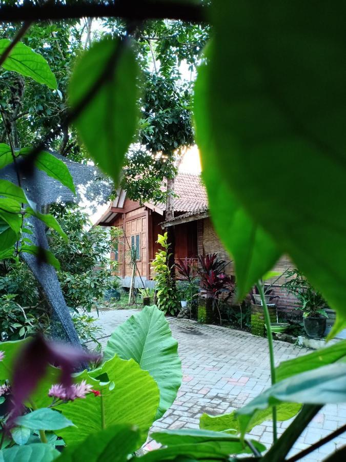 Bata Merah Homestay Banyuwangi  Kültér fotó