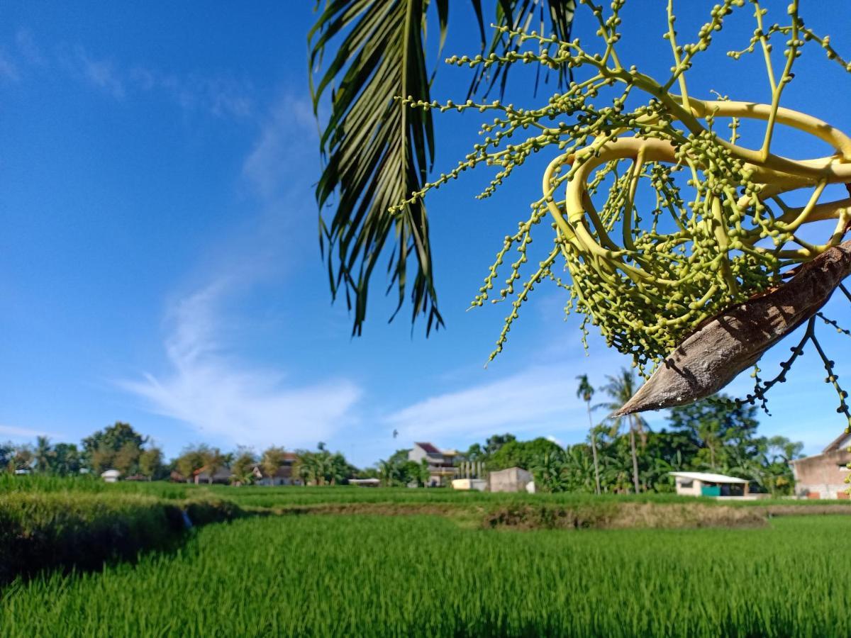 Bata Merah Homestay Banyuwangi  Kültér fotó