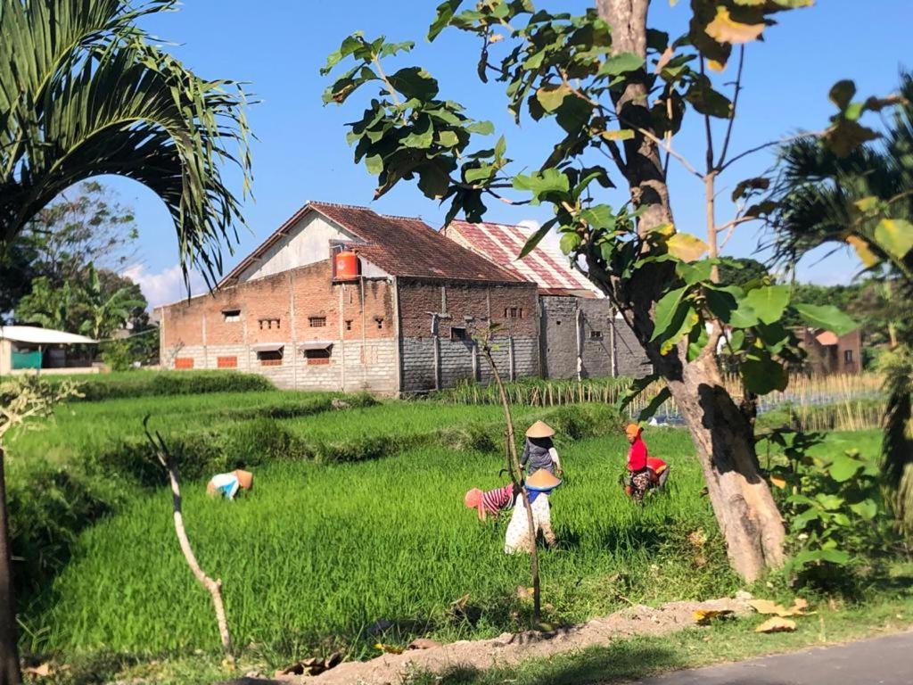 Bata Merah Homestay Banyuwangi  Kültér fotó